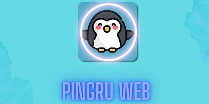 pingru web