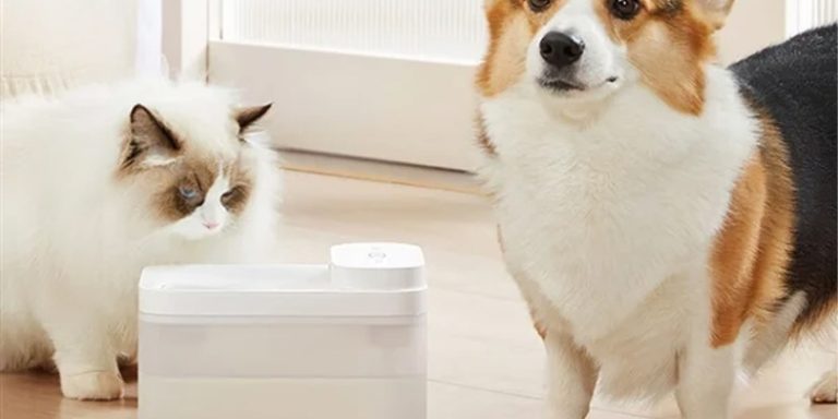 xiaomi kablosuz su sebili